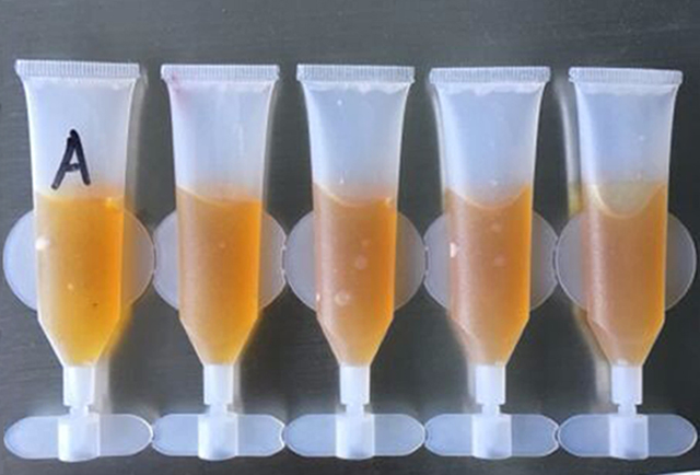 Röhrchen Proben Streifen Röhrchen gefüllt versiegelt.jpg